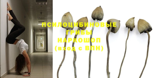 Альфа ПВП Алексеевка