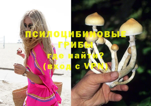 хмурый Алексин