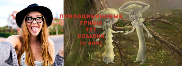 Альфа ПВП Алексеевка