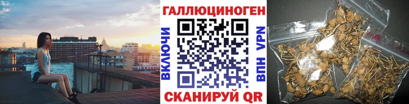 Псилоцибиновые грибы мицелий  закладки  Звенигород 